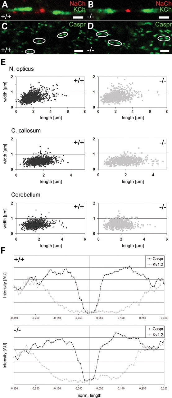 Figure 6.