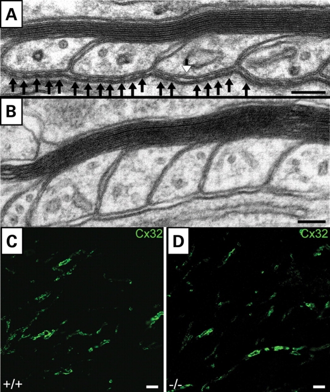 Figure 7.