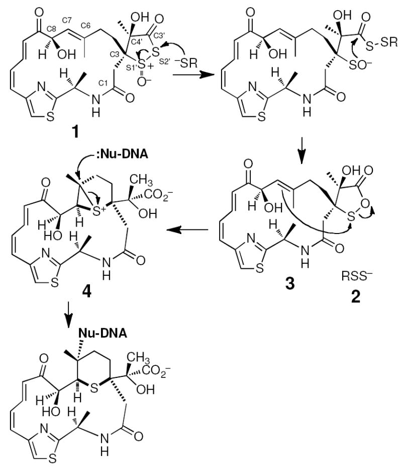 Scheme 1