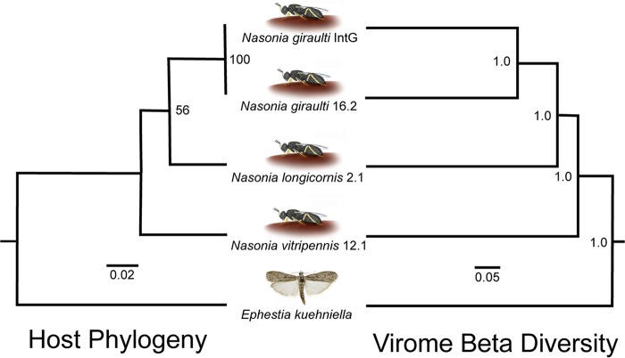 FIG 1