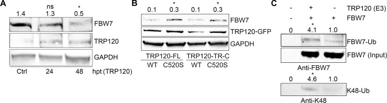 Fig 5