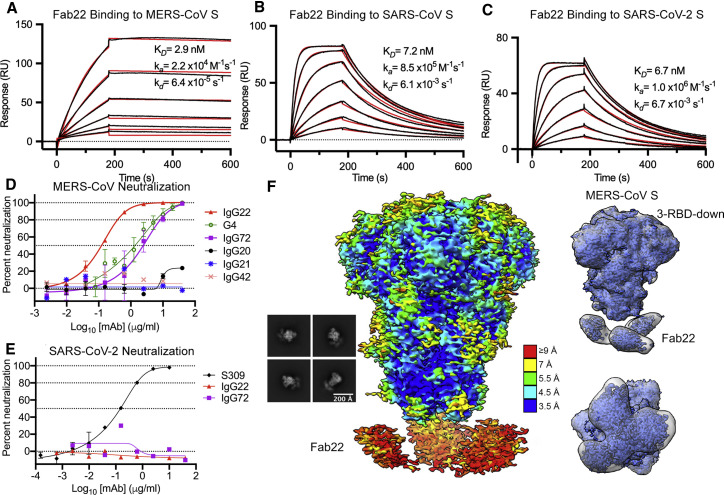 Figure 4