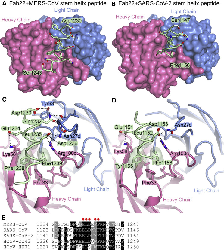 Figure 6