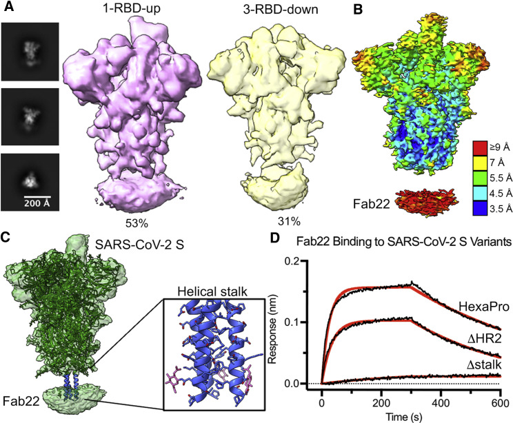 Figure 5