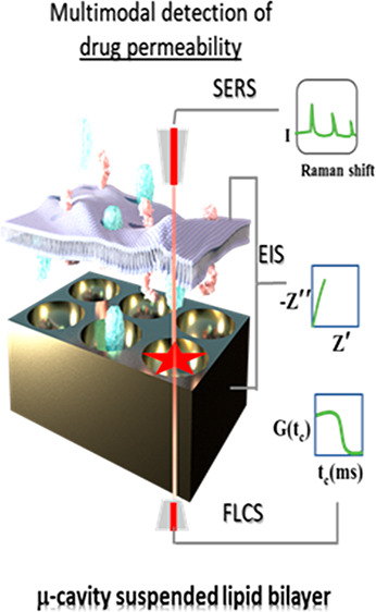 graphic file with name la2c00524_0008.jpg