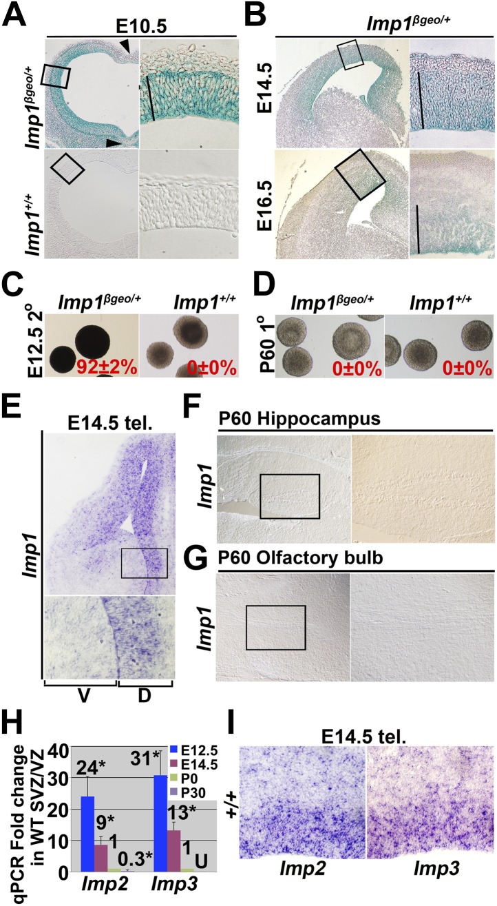 Figure 1—figure supplement 1.