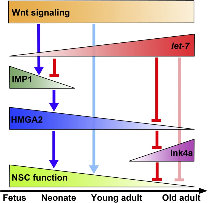 Figure 9.