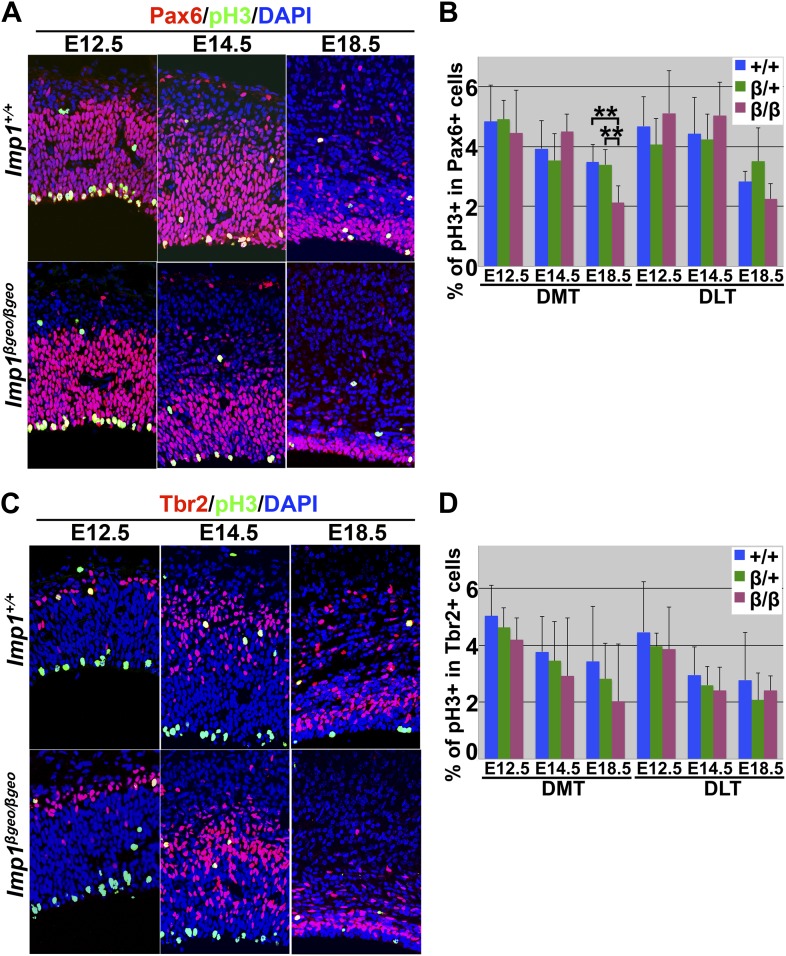 Figure 3—figure supplement 1.