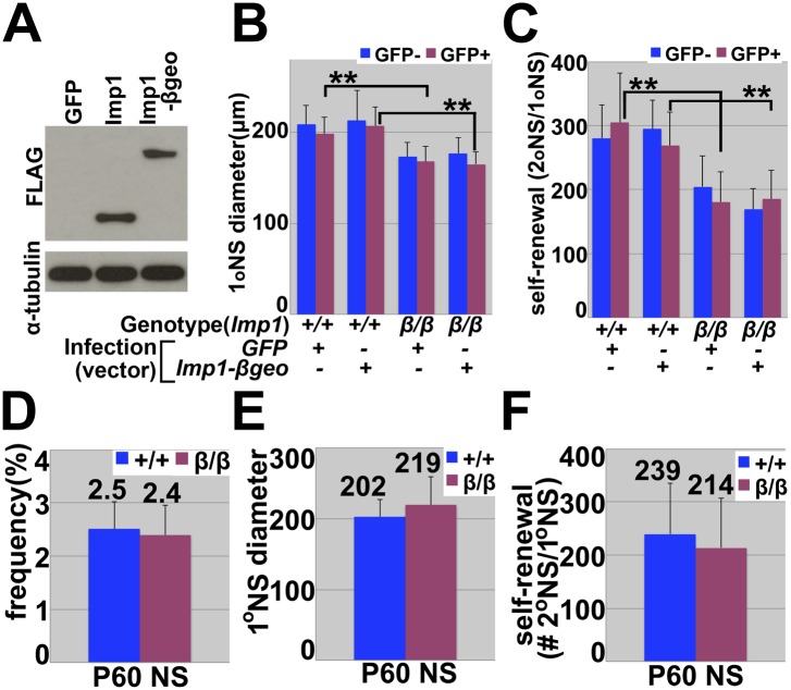 Figure 2—figure supplement 2.