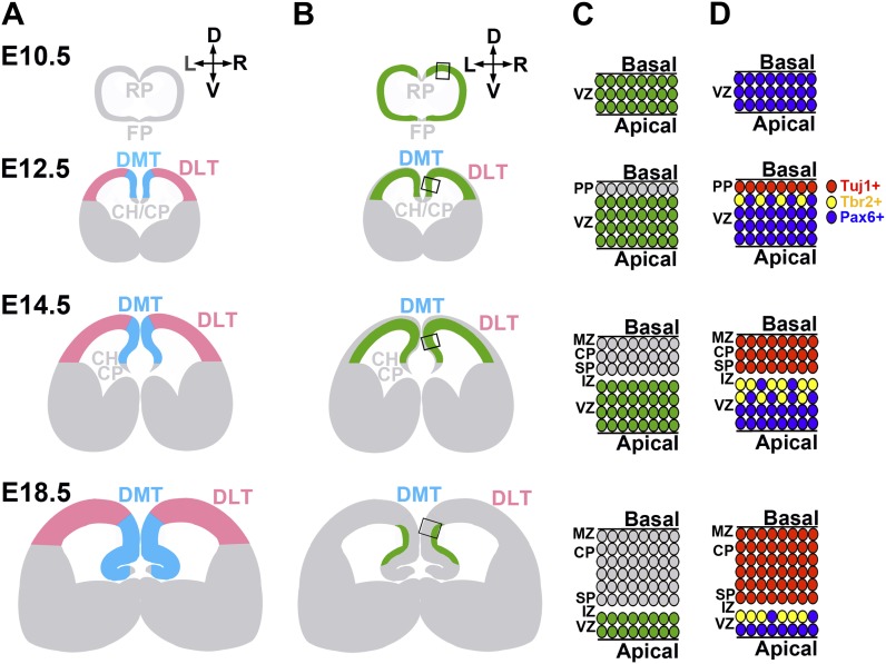 Figure 1—figure supplement 2.