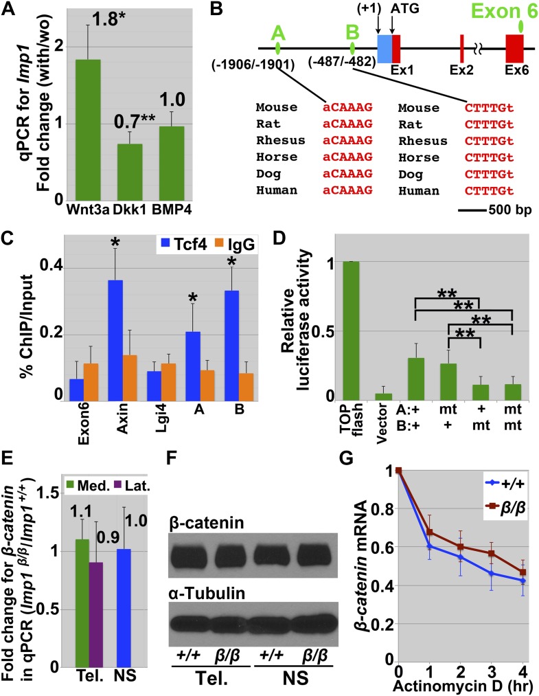 Figure 6—figure supplement 2.