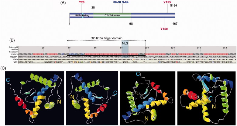 Figure 1.