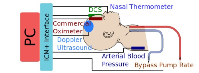 Fig. 1