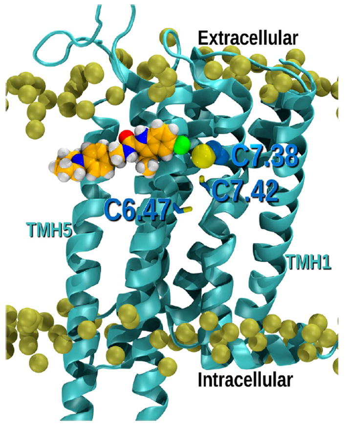 Figure 12