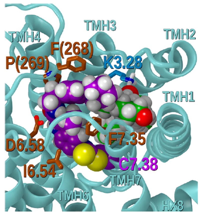 Figure 13