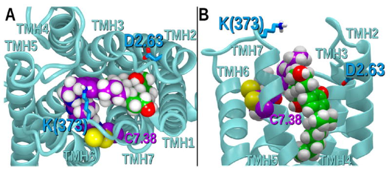 Figure 14