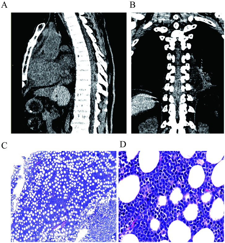 Figure 1