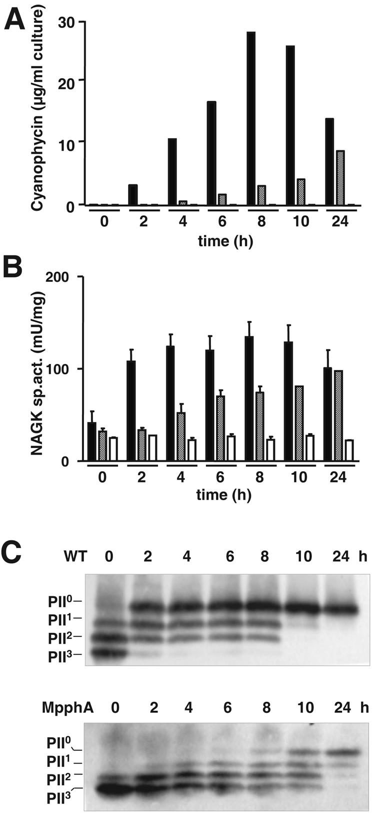 FIG. 1.