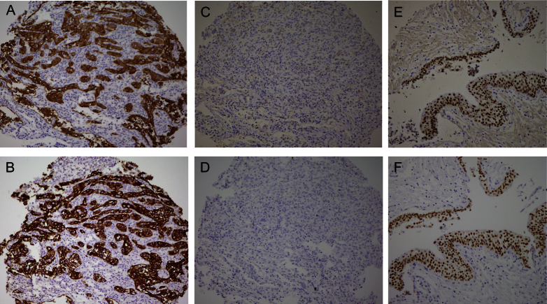 Fig.2