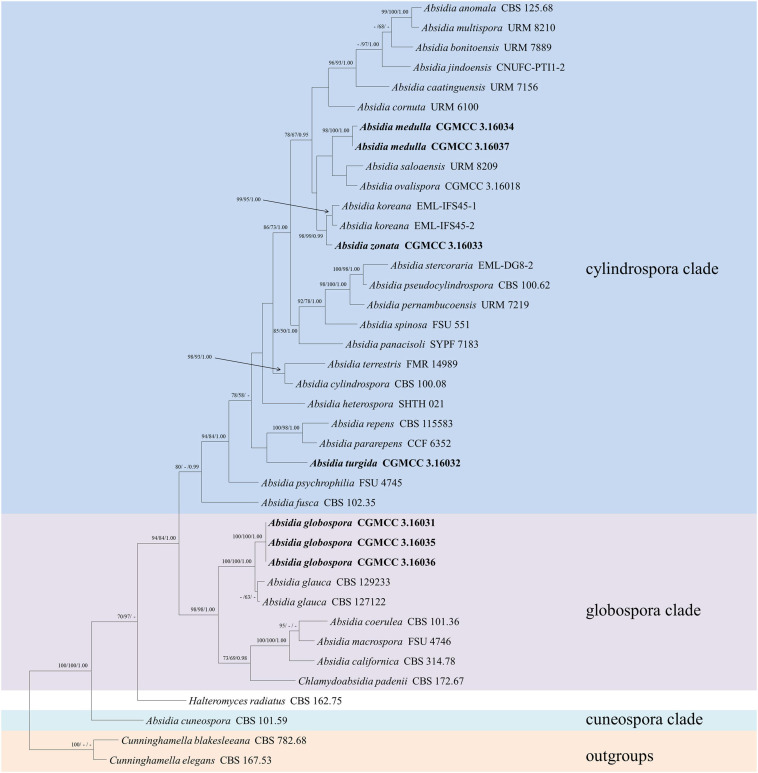 FIGURE 2