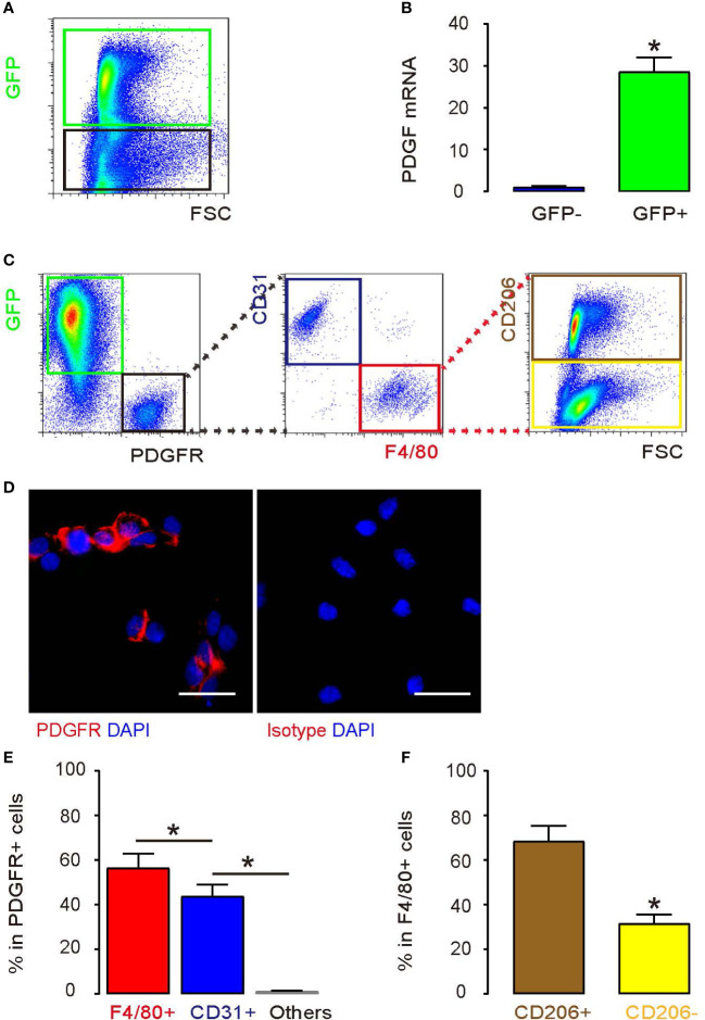 Figure 3