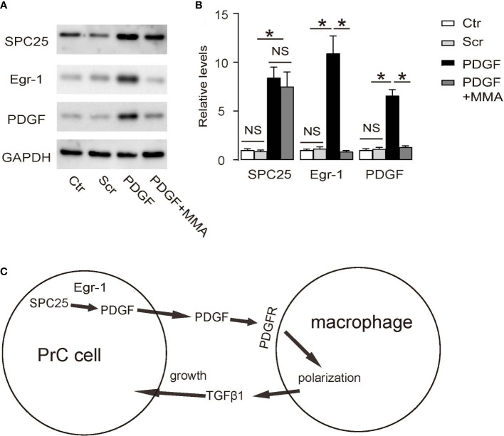 Figure 6