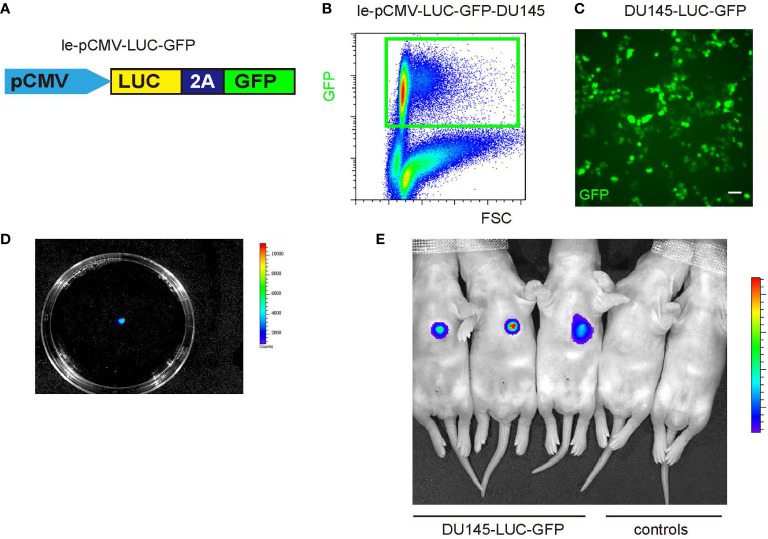 Figure 2