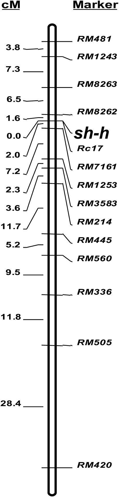 Figure 7.