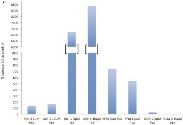 Figure 7