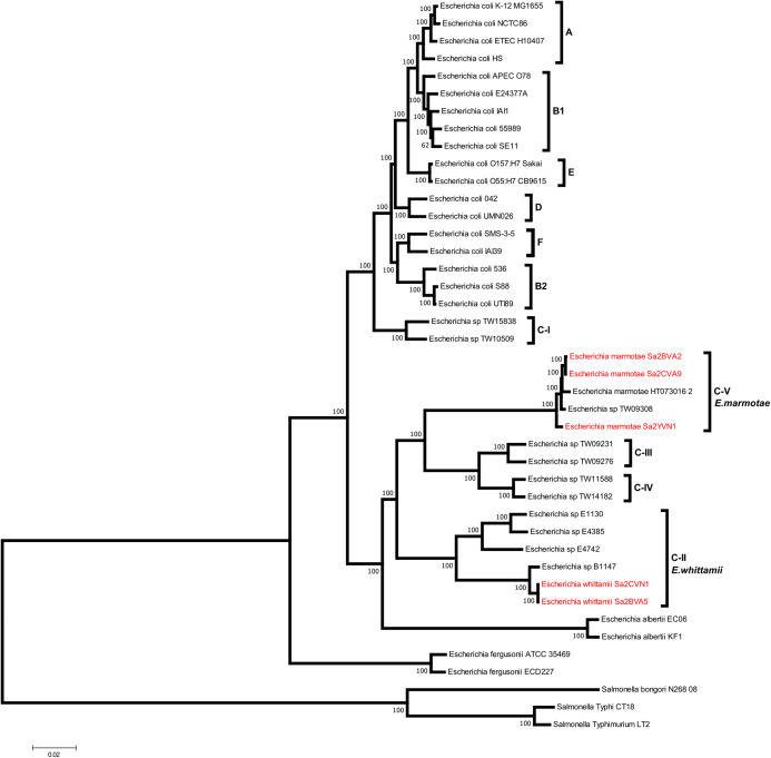 Figure 5