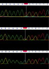 Figure  3