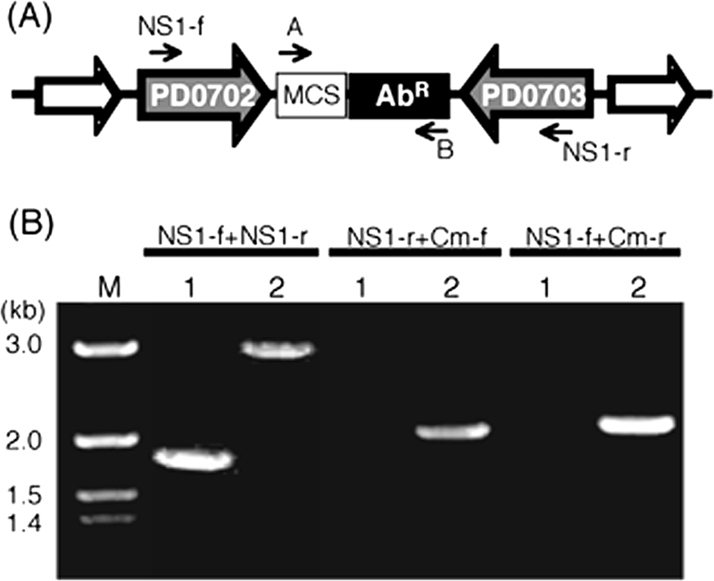 FIG. 2.