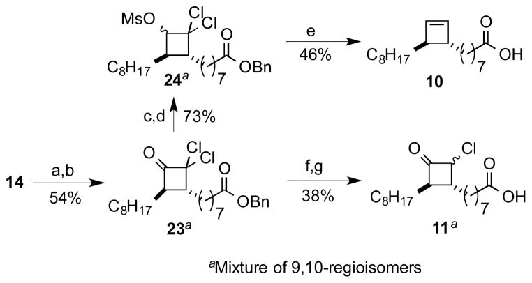 Scheme 3