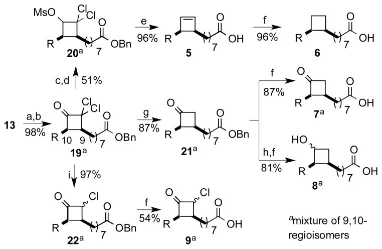 Scheme 2