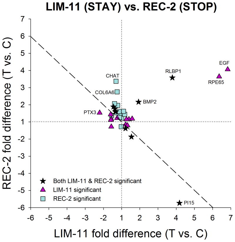 Gene Expression Signatures In Tree Shrew Choroid During Lens-induced ...