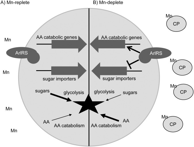 Fig 7