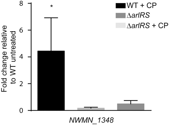 Fig 5