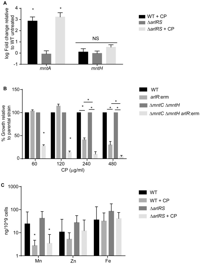 Fig 3