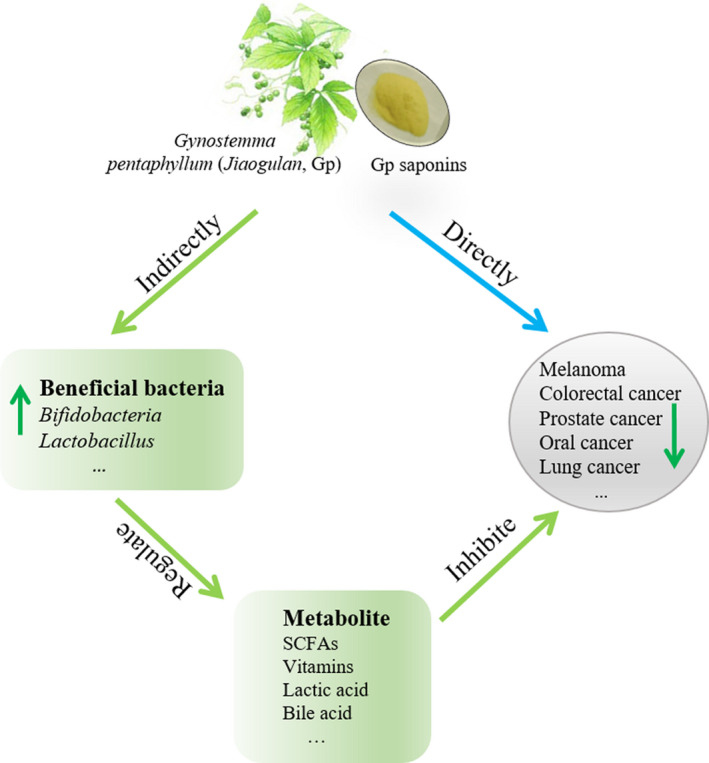 FIGURE 2