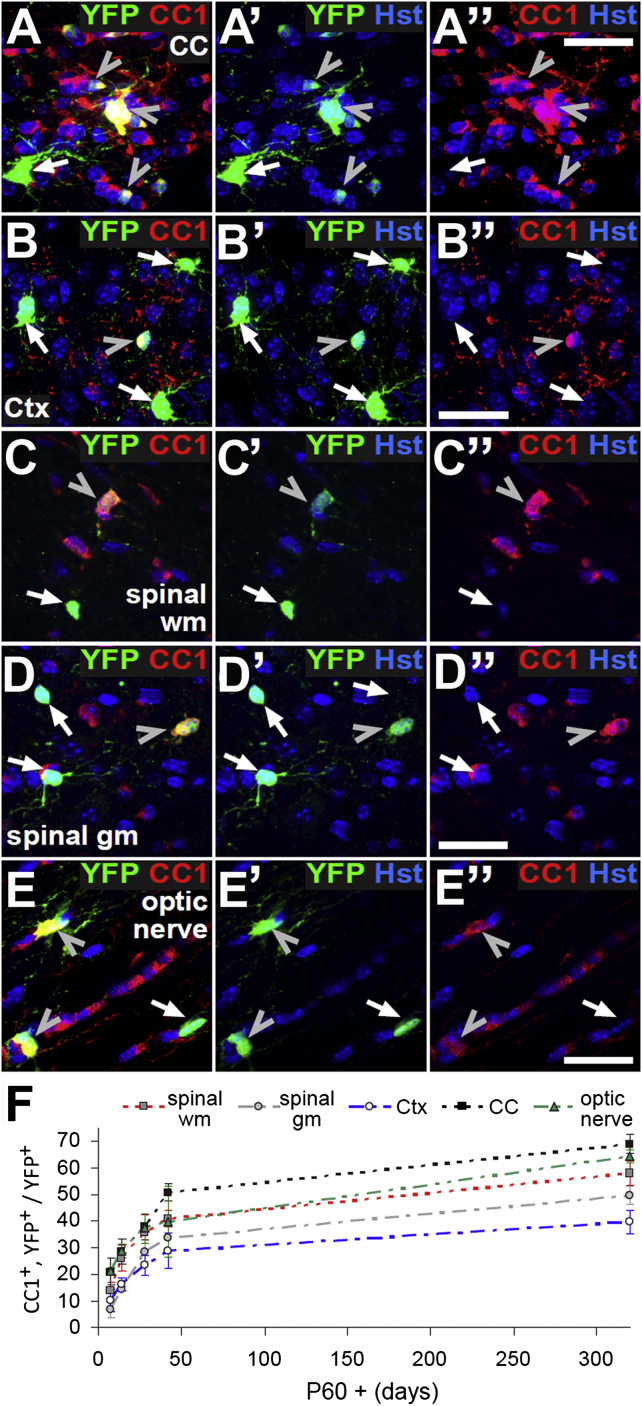 Figure 3