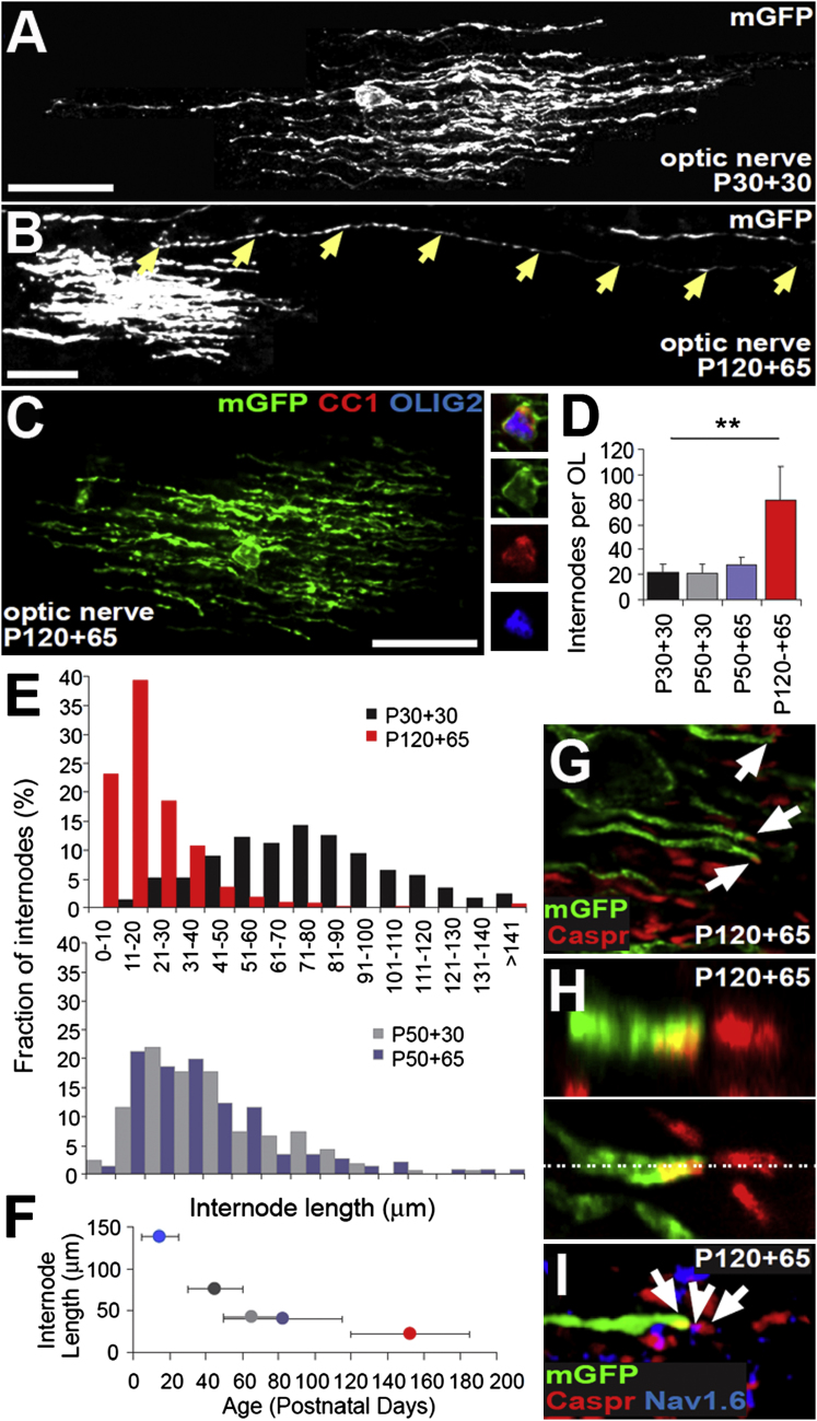 Figure 6