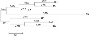 Figure 2