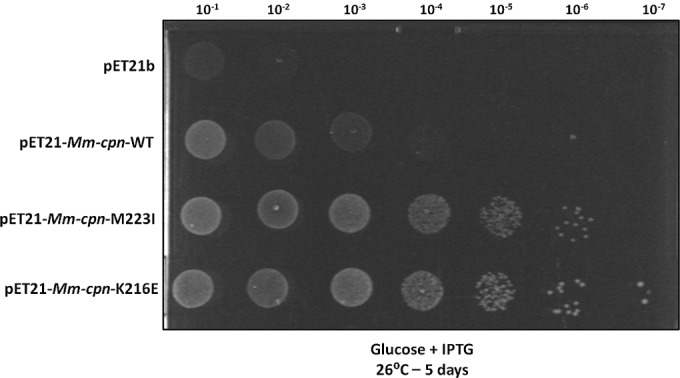 FIG 2