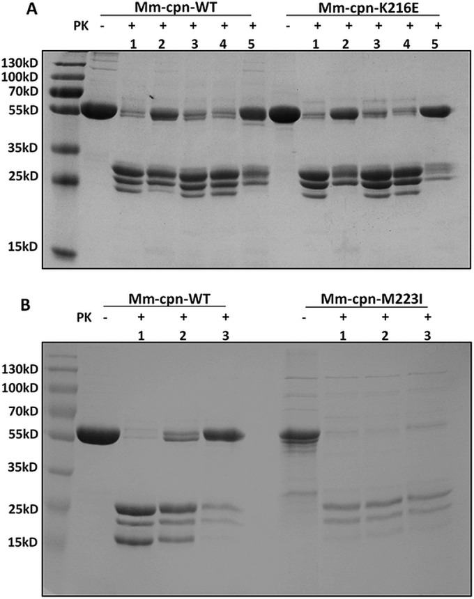 FIG 6