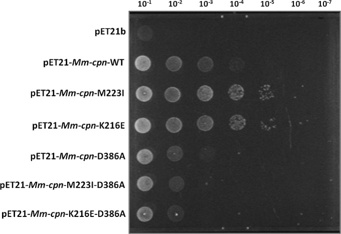 FIG 4