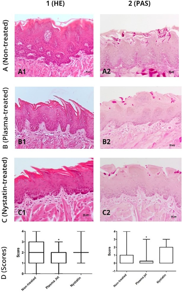 Fig 8