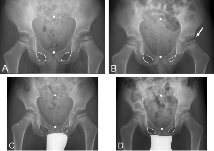 Fig. 6