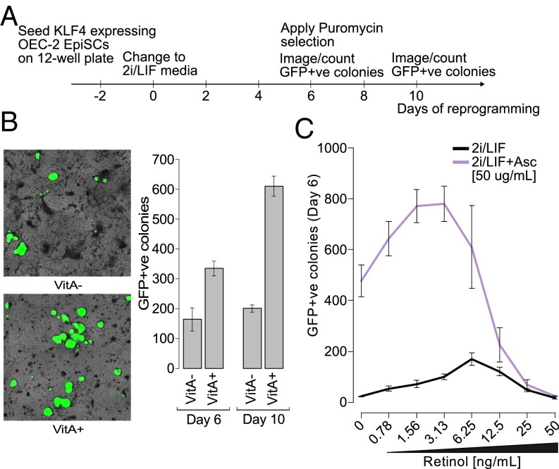 Fig. 4.