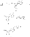 Scheme 2<sup>a</sup>