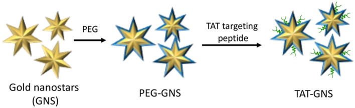 Figure 11